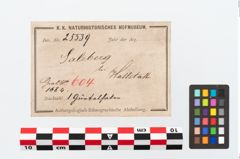 Etikett zu Bronzegürtelhaken (NHMW-PRAE-025539)